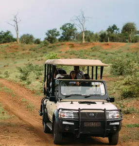 Game Drives image