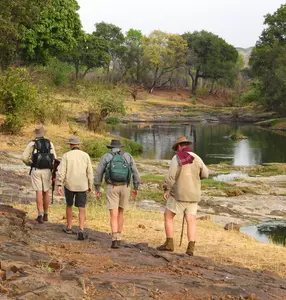 Walking Safaris image