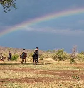 Horse Riding Safaris image